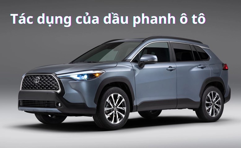 Dầu phanh ô tô bao lâu thì nên thay? Cách kiểm tra, phân phối và giá bán | Toyota