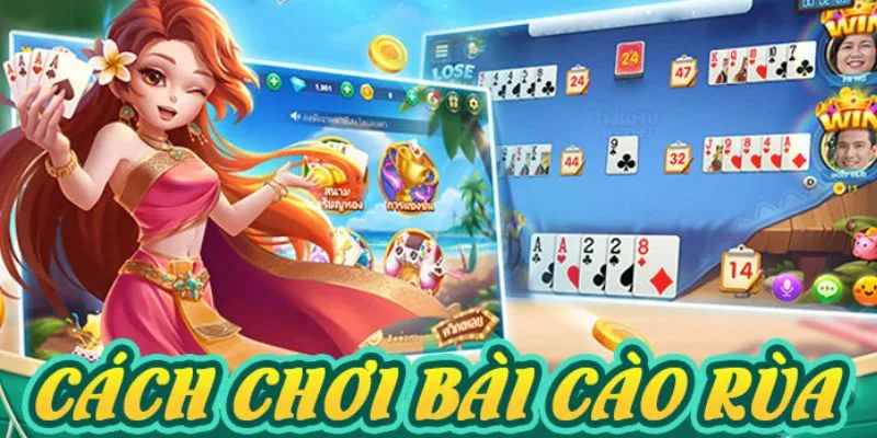 Mẹo chơi bài Rùa: Bí quyết giúp bạn chơi tốt hơn