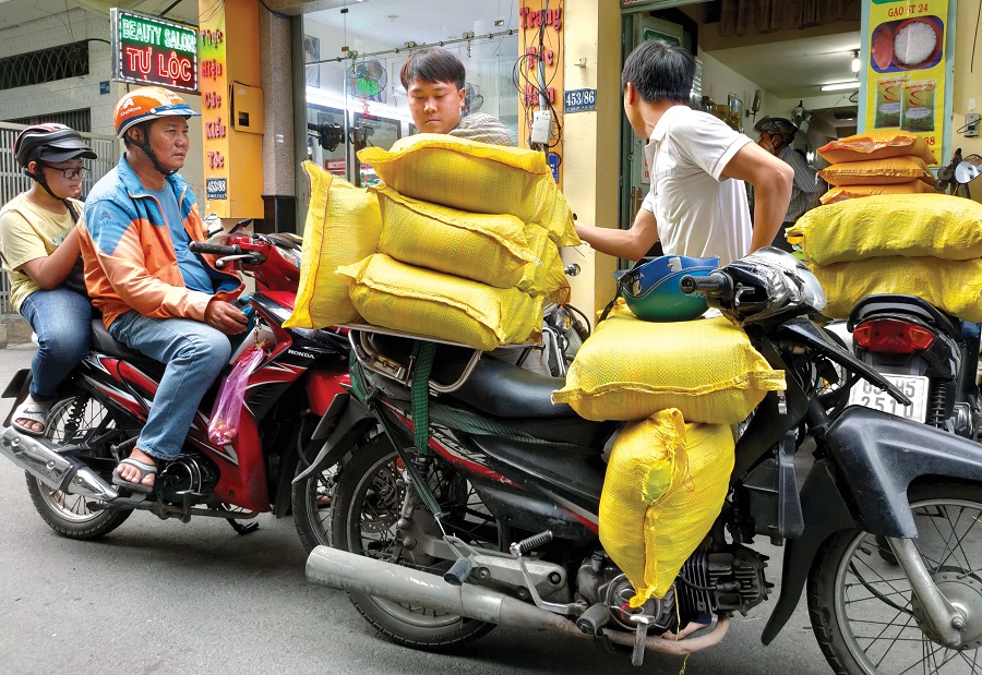 Nhà cung cấp gạo từ thiện uy tín tại Thành phố Hồ Chí Minh