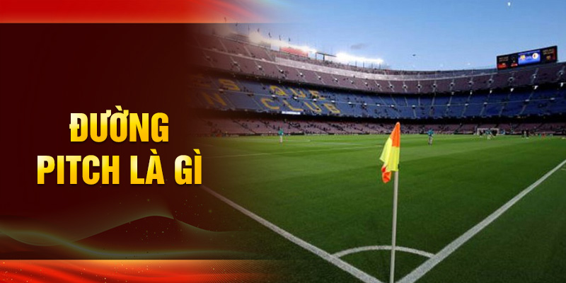 Sân bóng đá là gì? – Vai trò thực sự của sân bóng đá