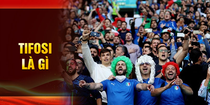 Tifosi là gì? Nguồn gốc, vai trò và ý nghĩa của tên này
