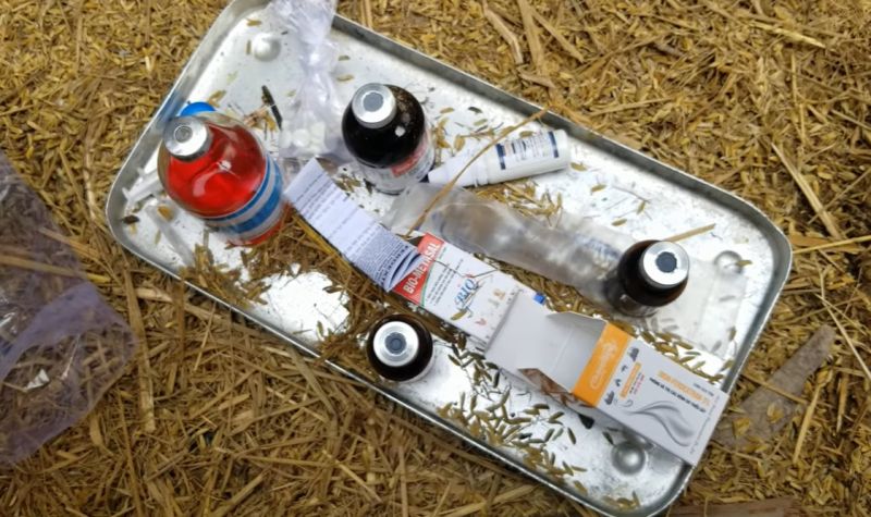 Hướng dẫn điều trị gà bị chướng diều - Niên Giám Nông Nghiệp